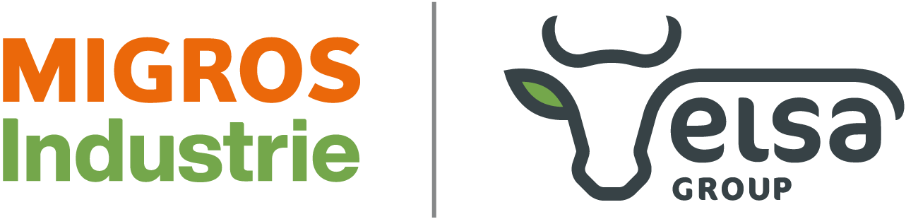 Elsa Group